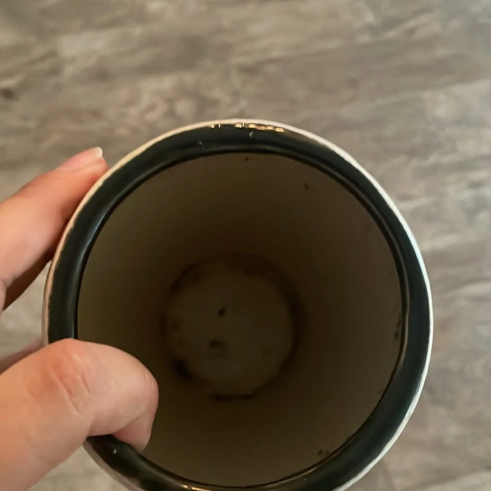 Pier One vase